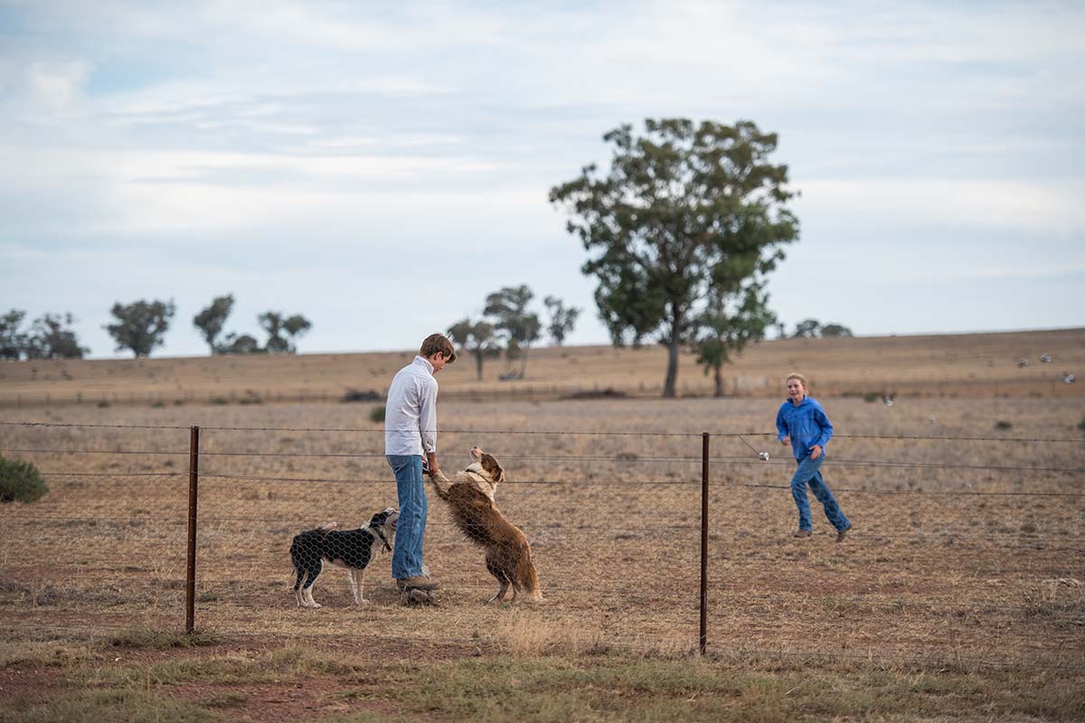 kids playing with dog on farm